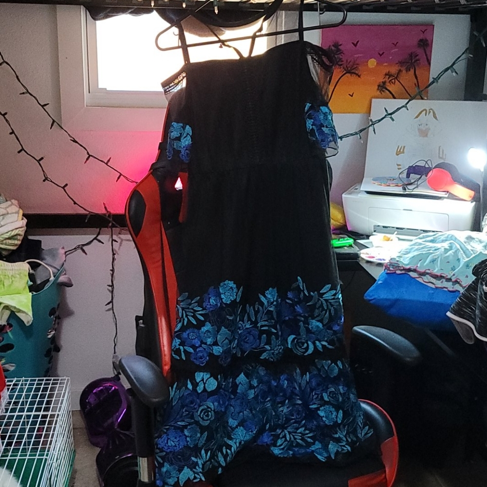 Beautiful dress only used 2 times